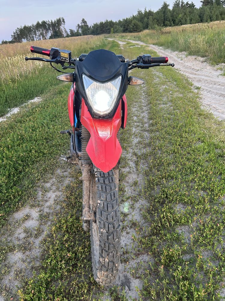 Продам Лонкин прус 200