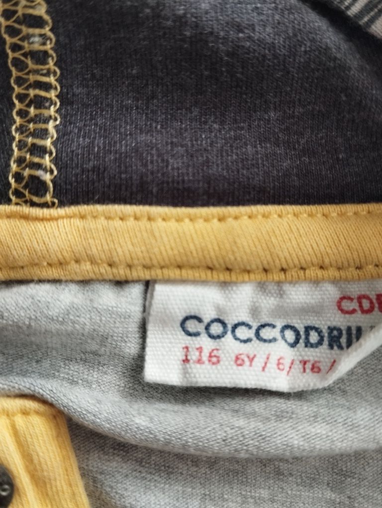 Dres chłopięcy Cocodrillo