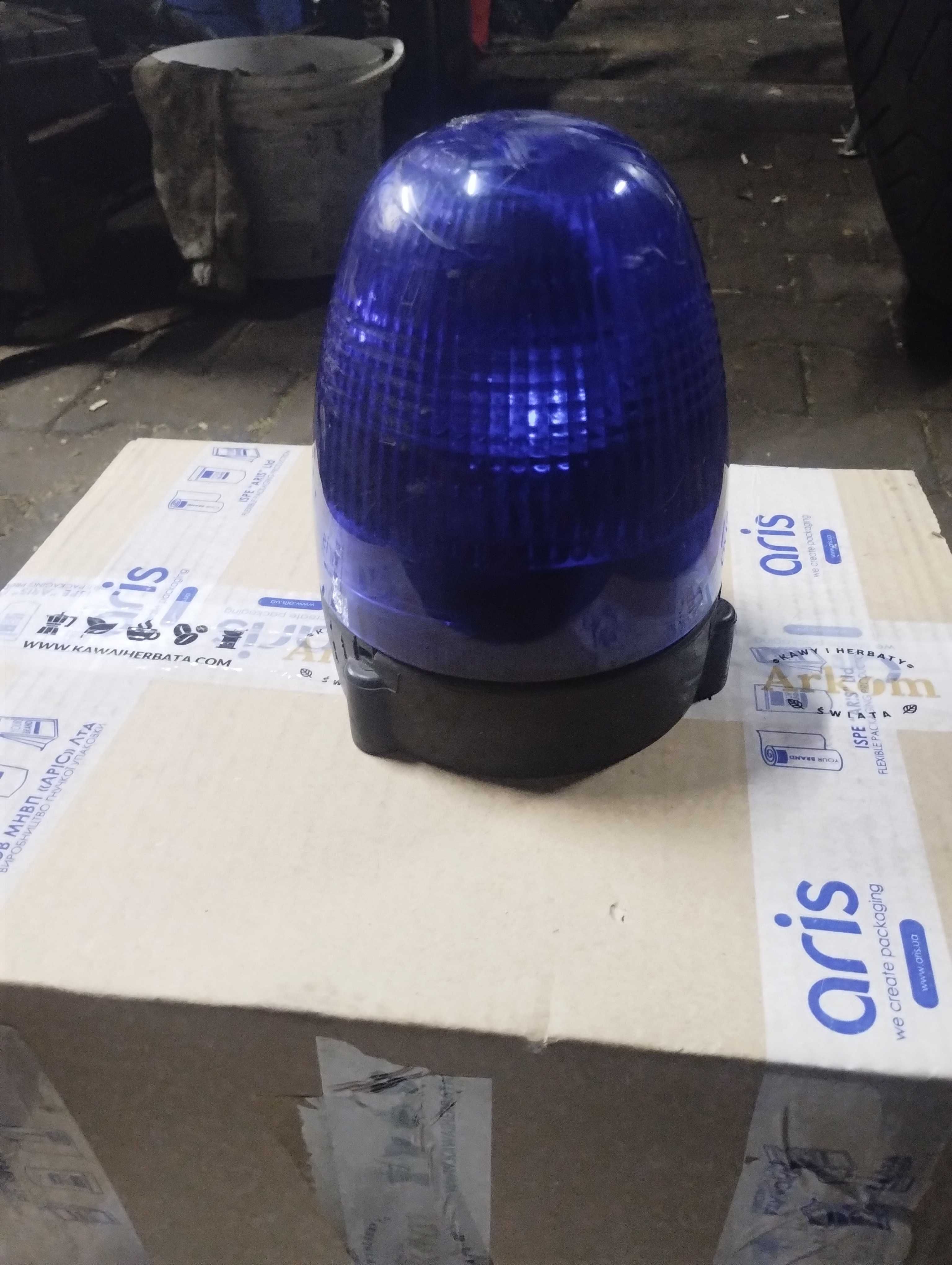 Kogut  hella niebieski lampa błyskowa do bramy