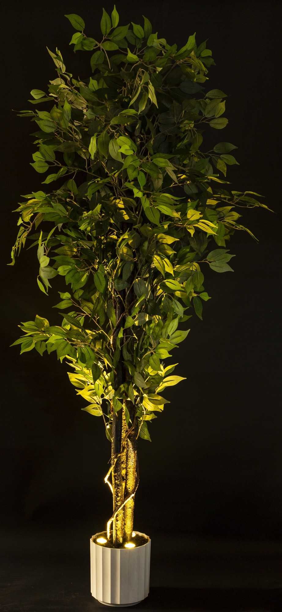 Figowiec benjamina duża roślina drzewko dekoracyjne LED 198cm 176832