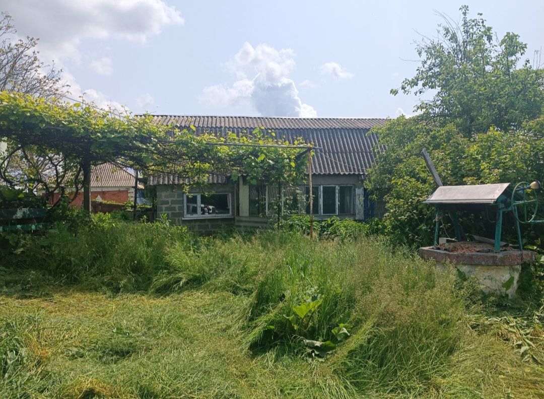 Продам будинок в с. Дмитренки, Київської  області