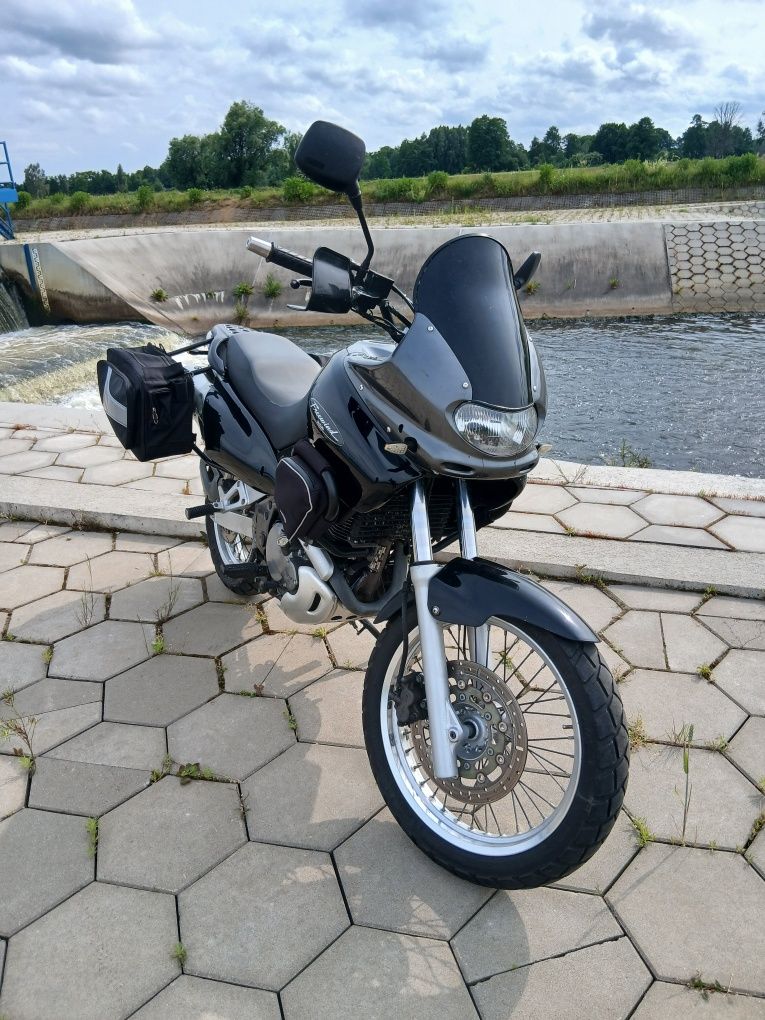 Suzuki XF 650 Freewind