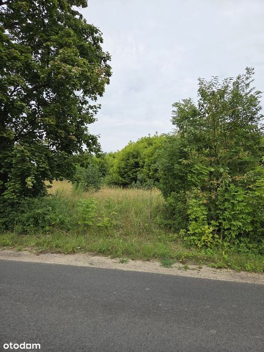 Duża działka w otoczeniu lasu i dobrej infrastruktury