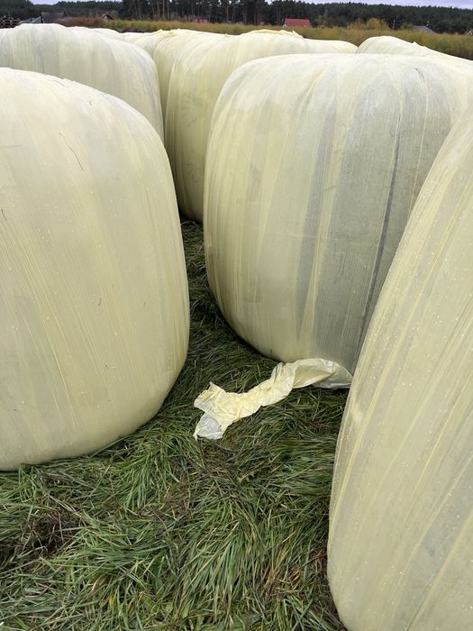 Sianokiszonka baloty 120x120