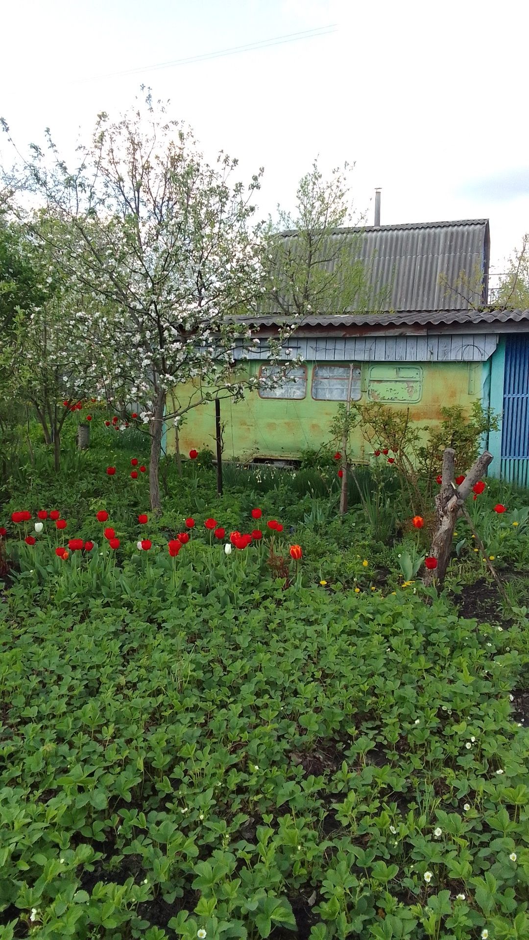 Дачна ділянка. Приватизована . Город.