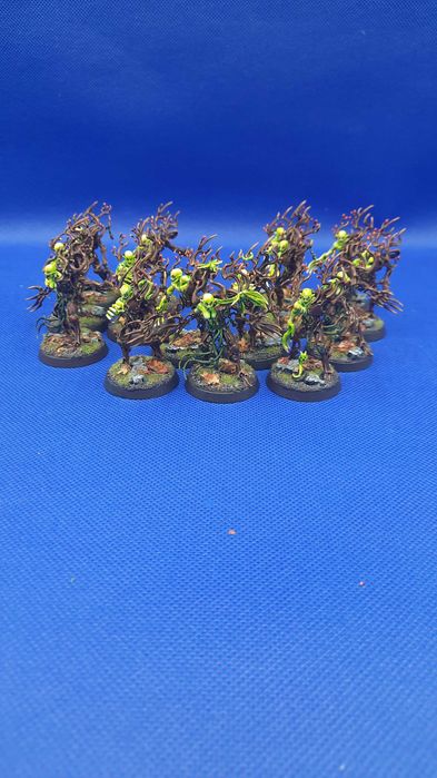 Warhammer age of sigmar cala Armia Sylvaneth