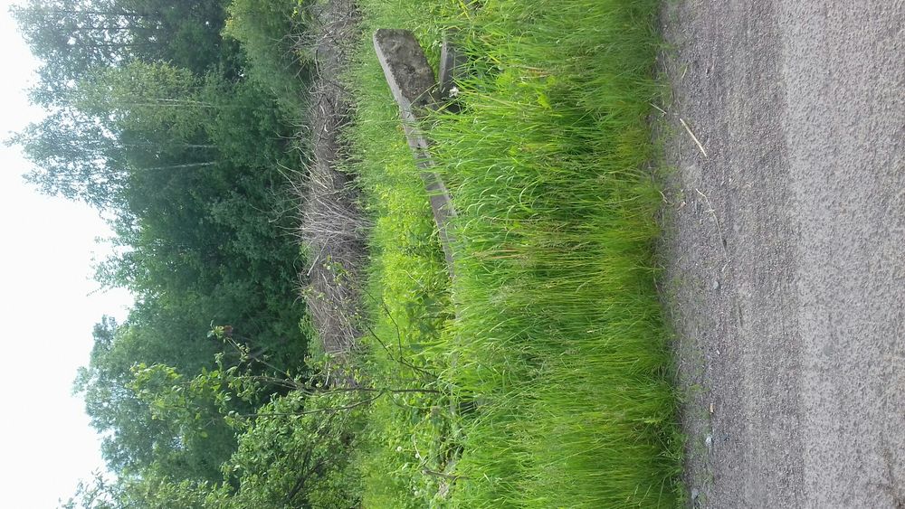 Продам земельний участок 10 сот