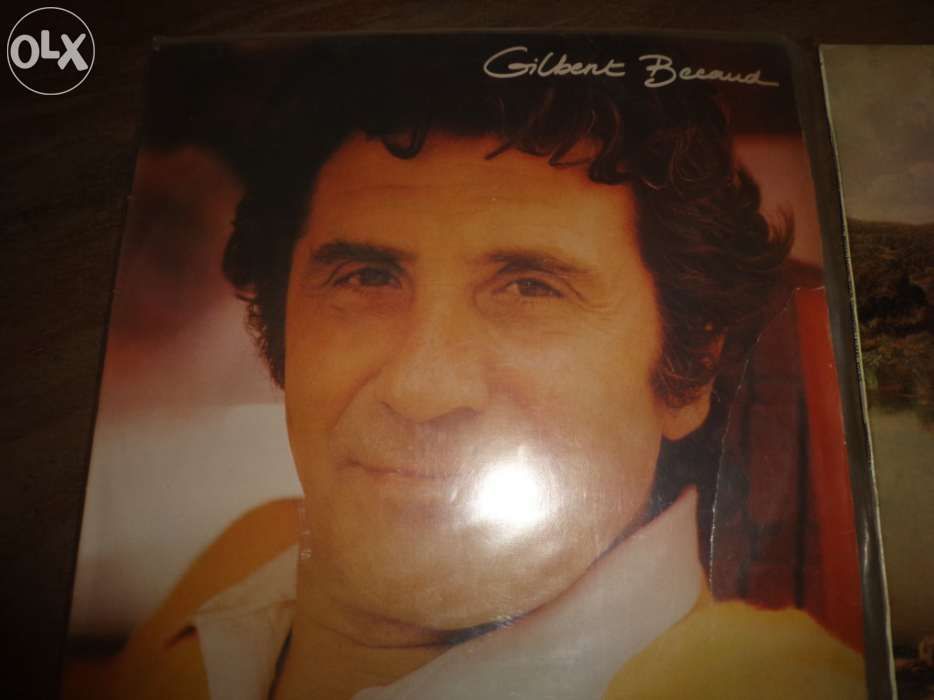 Discos de Vinil grandes e pequenos vários artistas