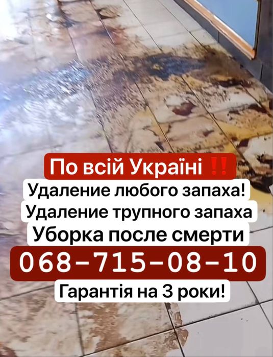 Удаление трупного запаха Уборка после смерти Вывести запах . Санитария