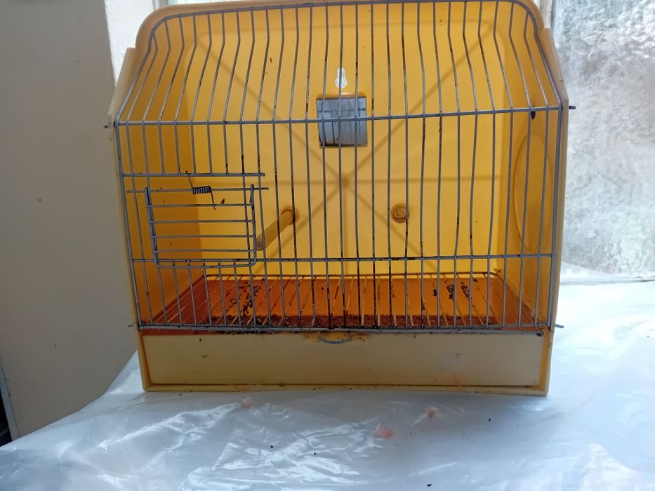 Gaiola de exposição