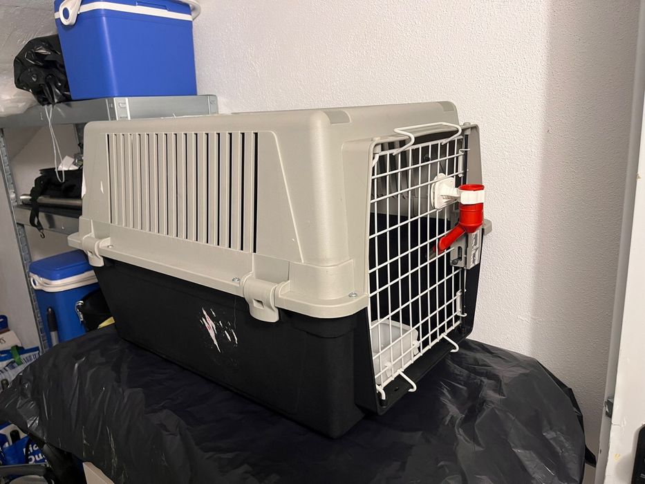Caixa Transporte Cão
