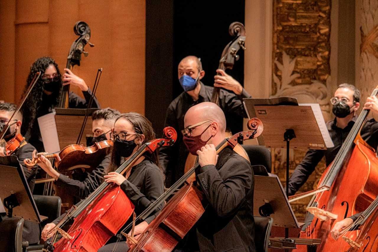 Aulas de Violoncelo