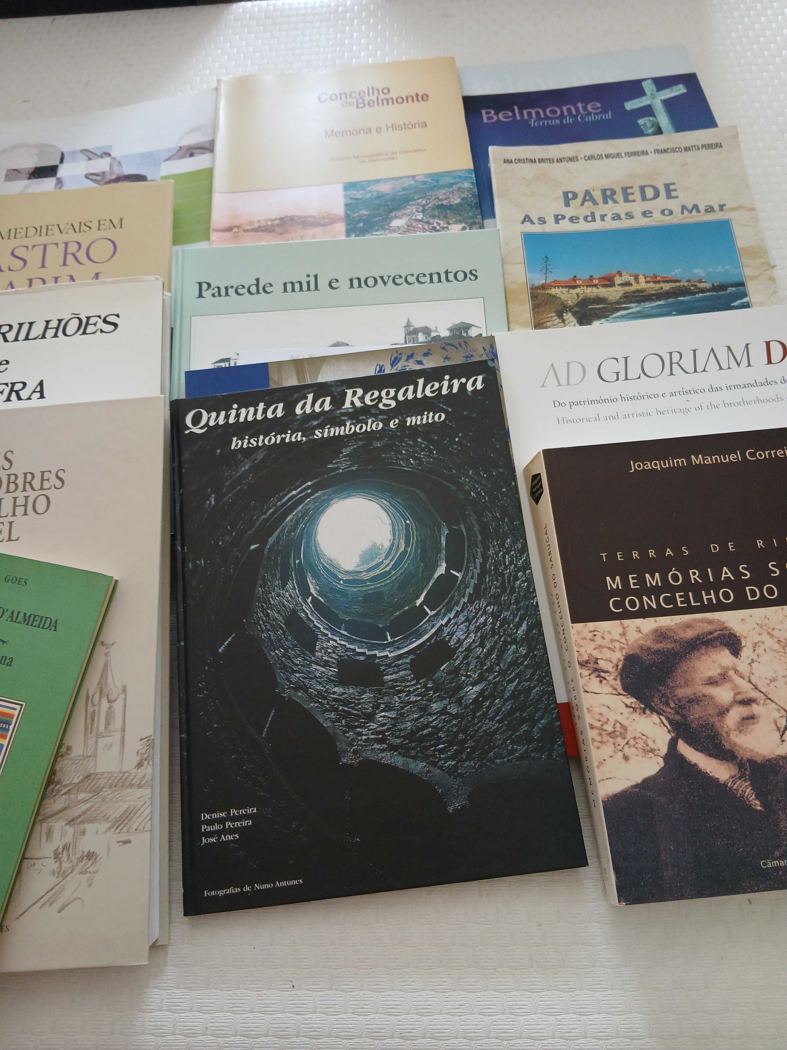 Livros ilustrados temáticos sobre localidades ou regiões de Portugal