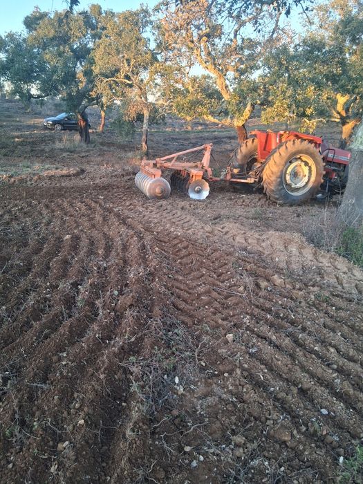 Limpezas de terrenos