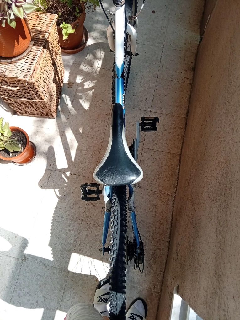 Bicicleta Bike Sport Team Pro 4210