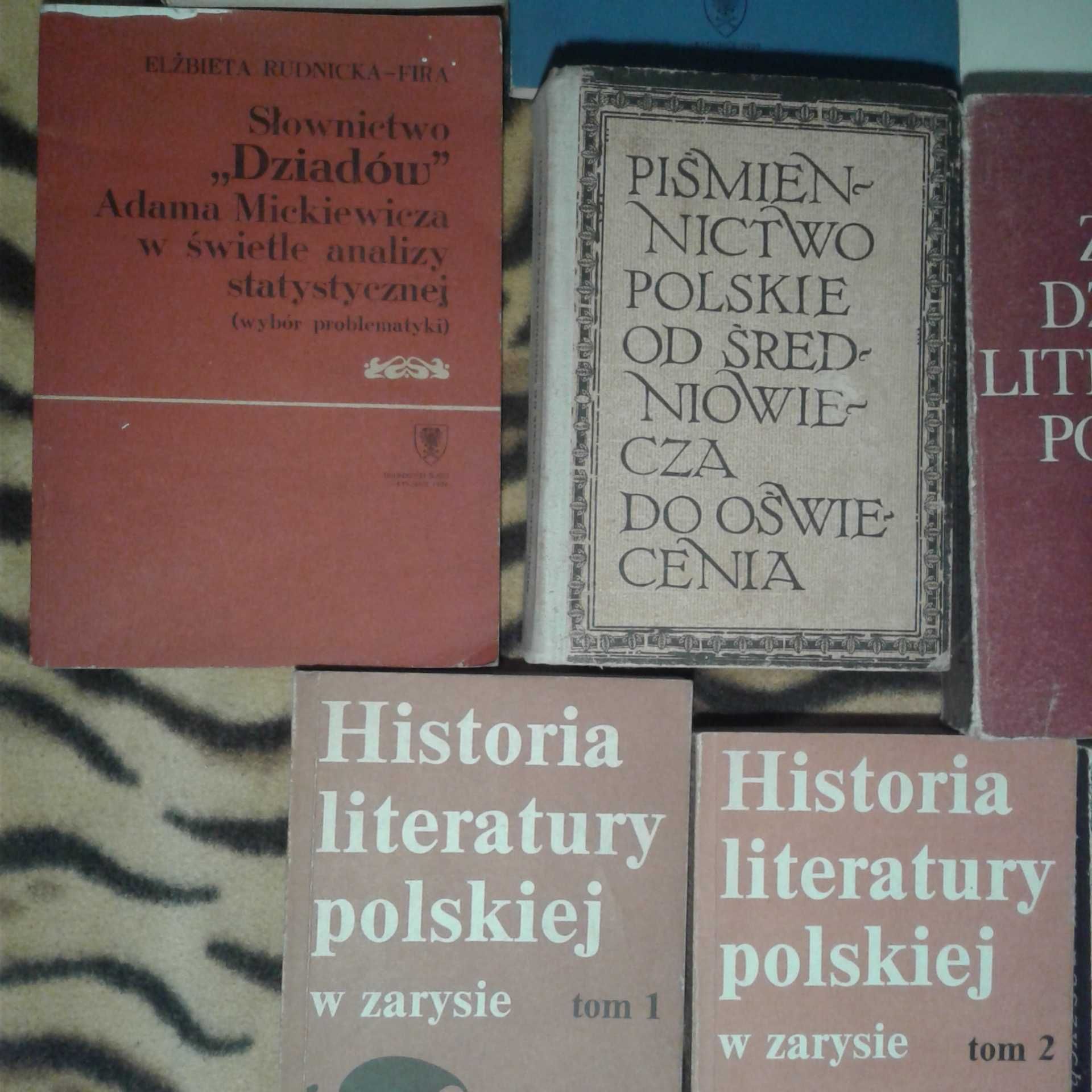 Polonistyka literaturoznawstwo zestaw 25 książek