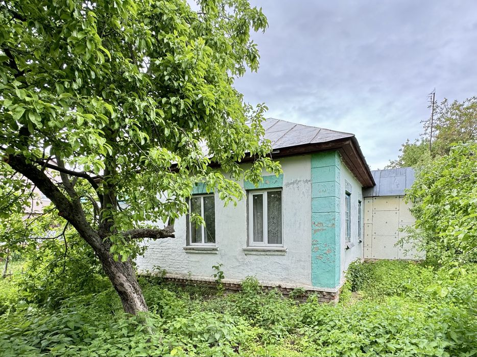 Продам будинок зі всіма зручностями, с. Брусилів