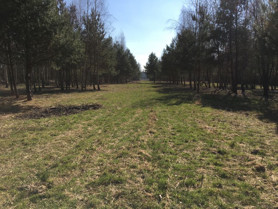 Działka rolno-zagrodowa 1ha, 30min od Warszawy, Ciepłe, możl. Zabudowy