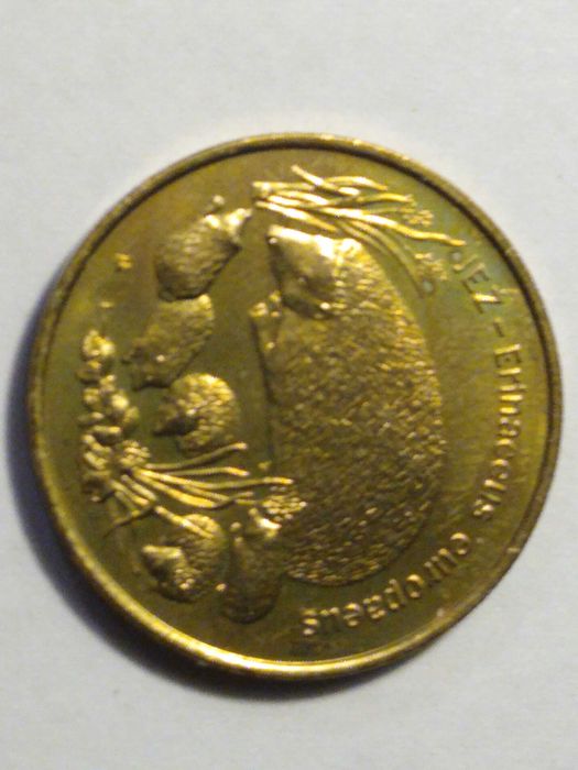 2 złote jeż - rezetwacja