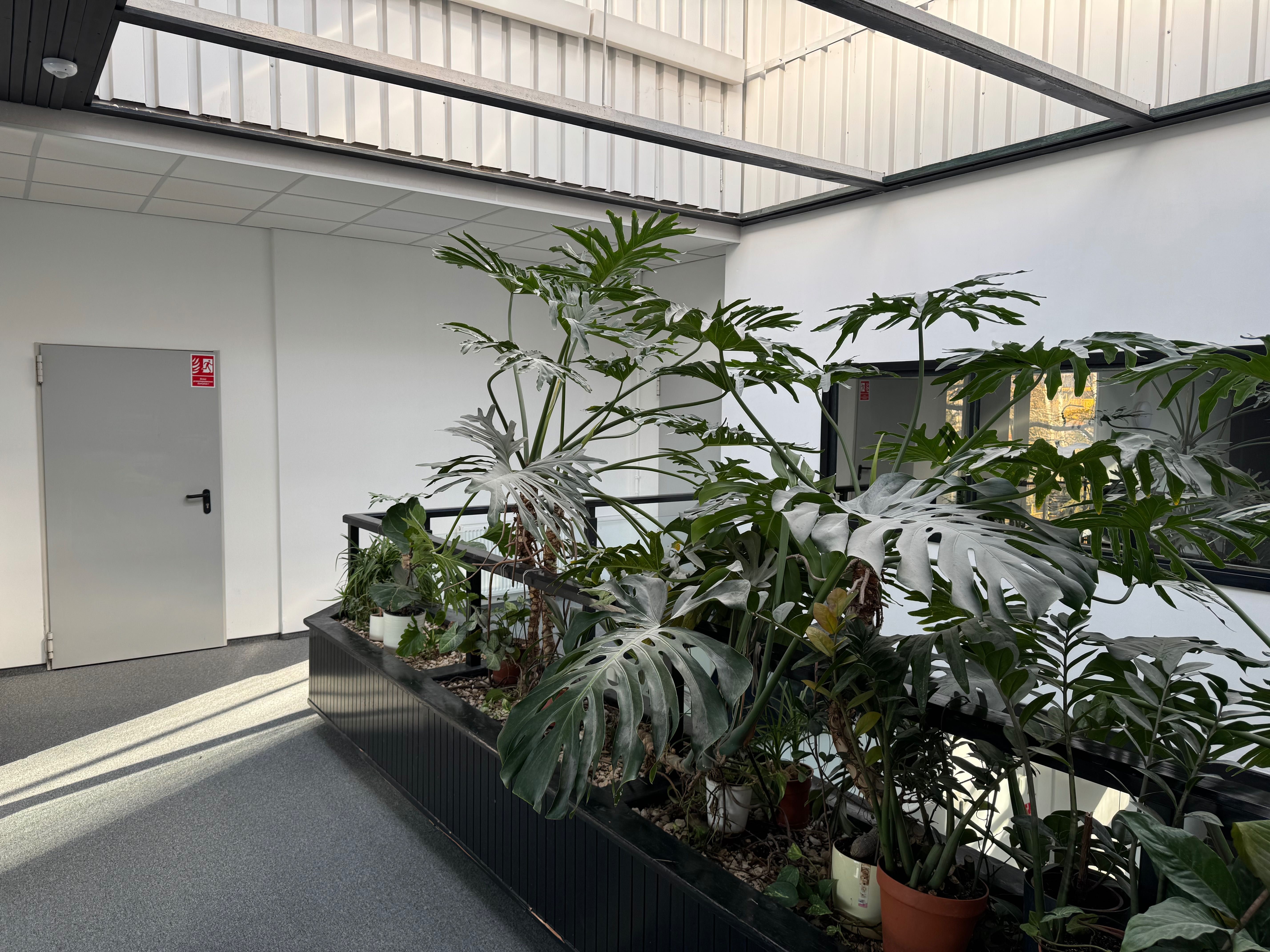 Biuro na wynajem 20-1000 m² – biura dostosowane do Twoich potrzeb!