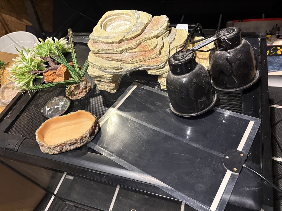 Terrarium gekon lamparci 60x45x45