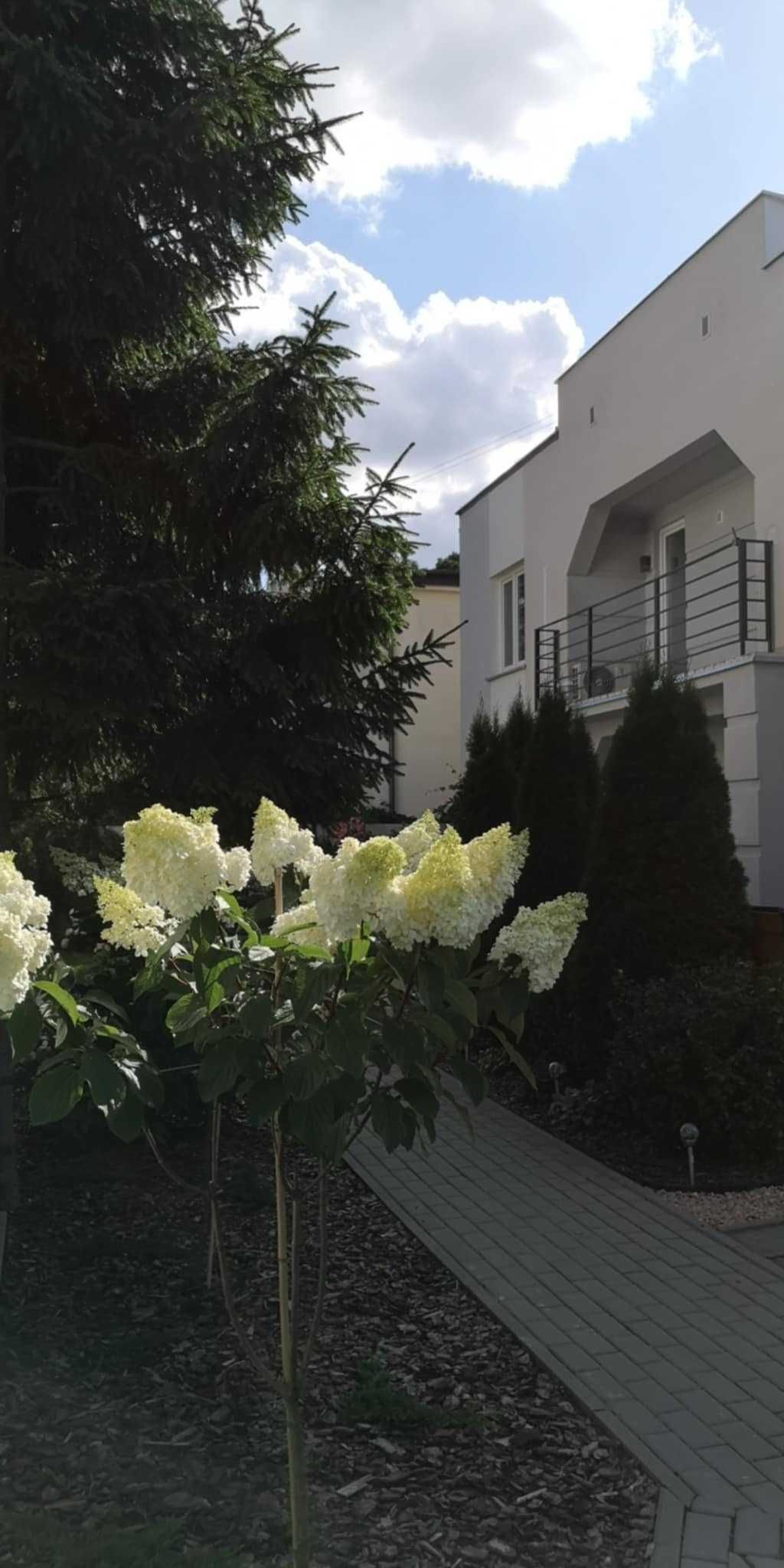 Apartament na wynajem, niski czynsz - ul. Parkowa | Idealny dla firm