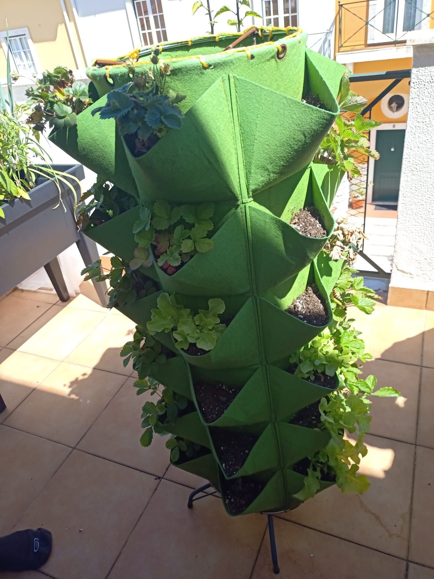 Horta vertical!!