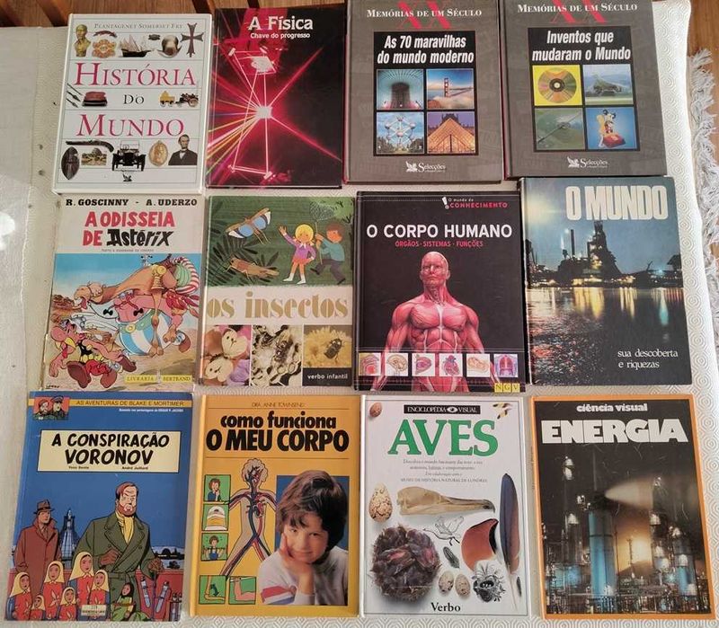 Lote Livros - Diversos temas