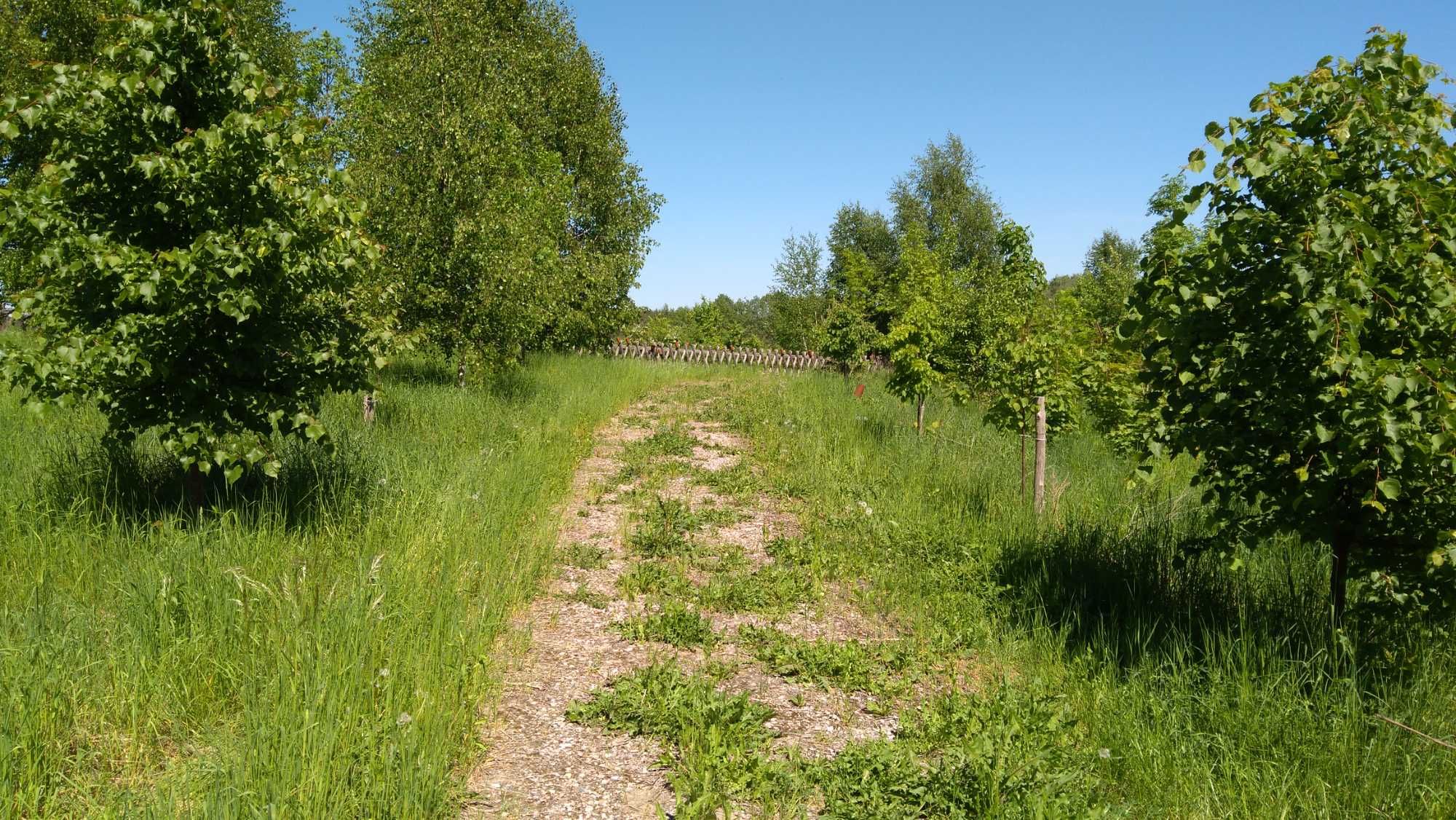 Działka budowlana nad jez. Gromskim