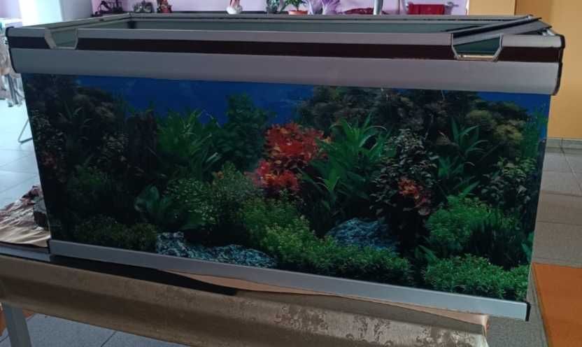 Vendo aquário da marca aquantlis usado mas em bom estado