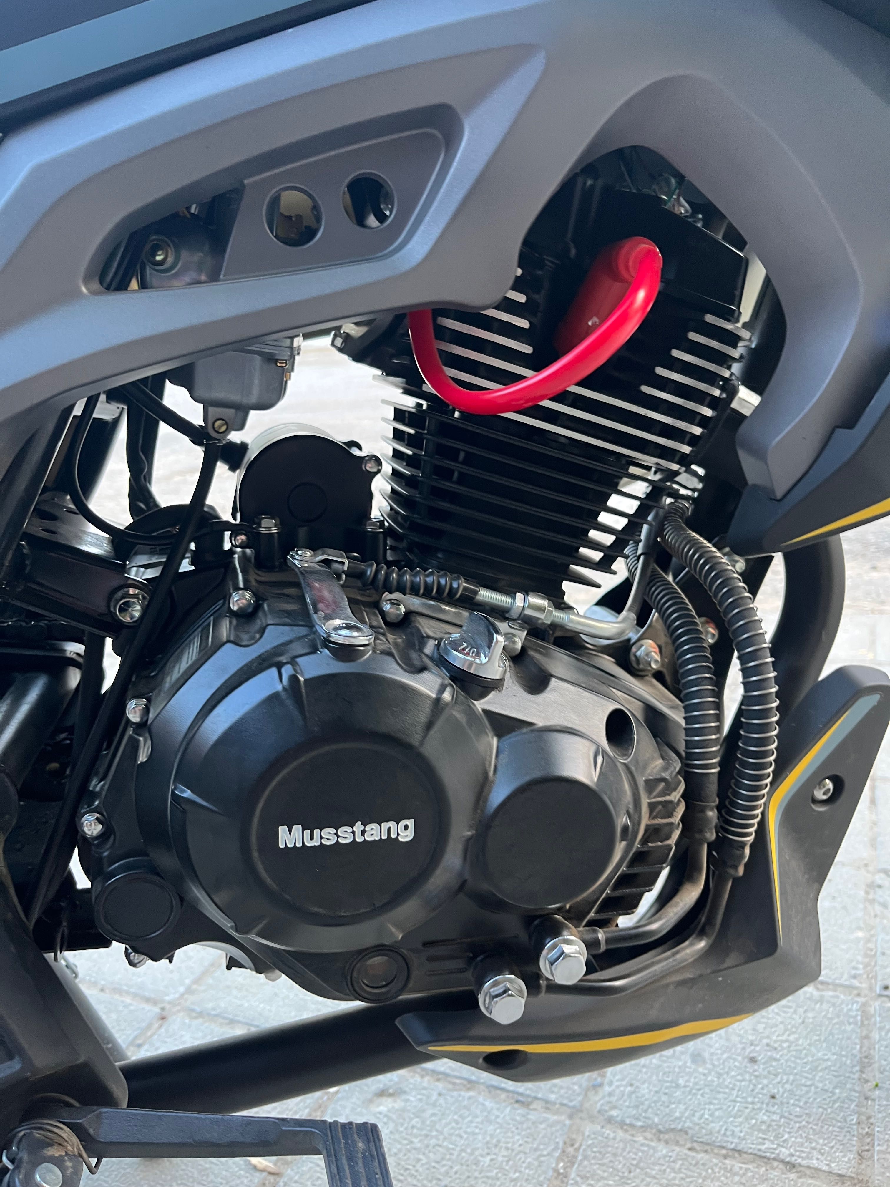 Musstang Region MT 200-9ST