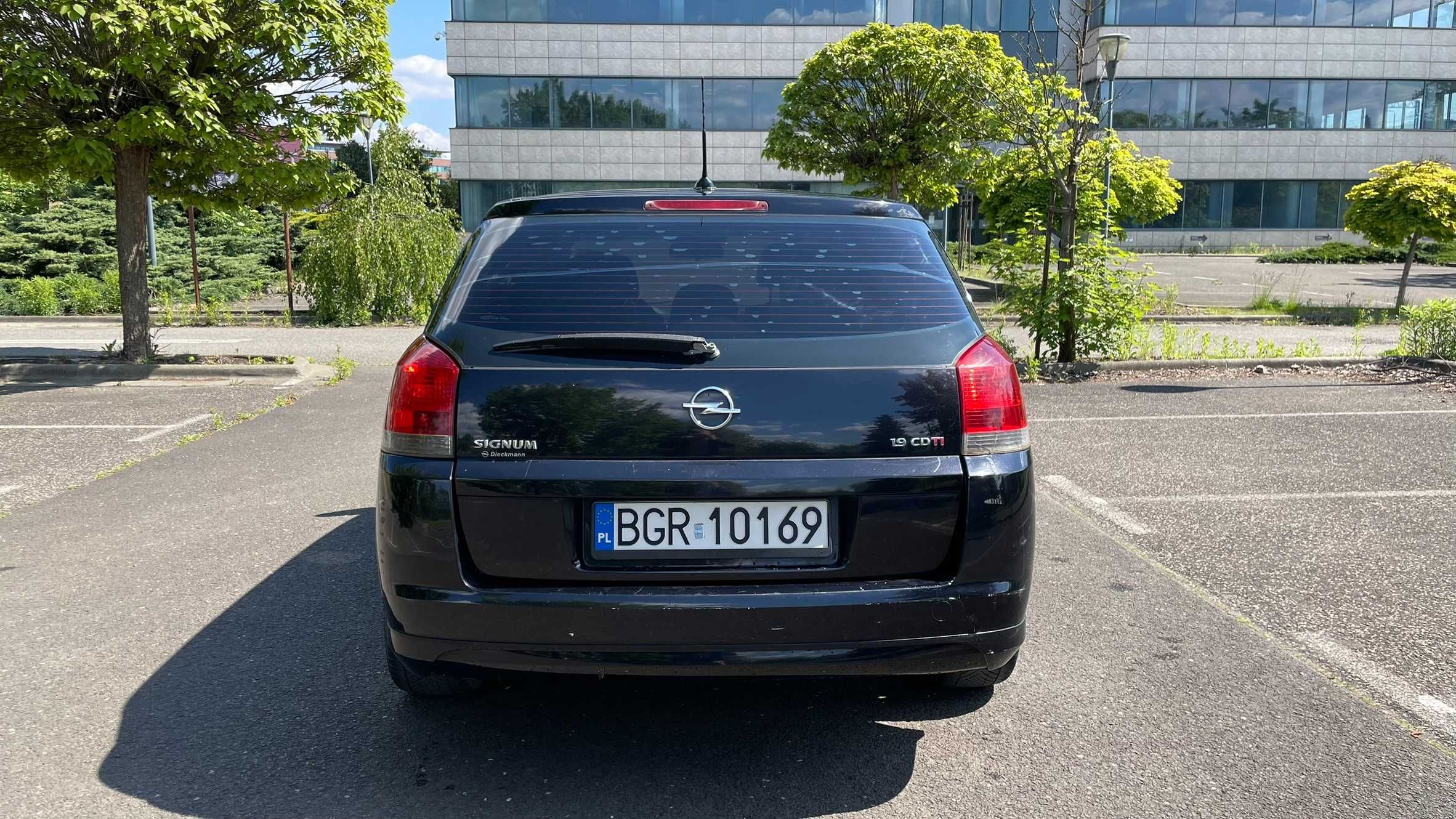 Opel Signum 1.9 CDTI 150KM • 2006 • Elegance