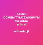 Szukamy domów tymczasowych do stałej współpracy