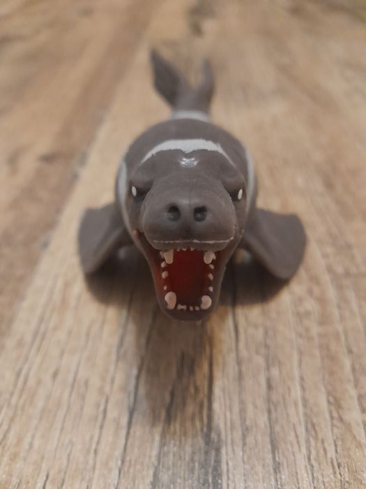 Смугастий тюлень обмін на косатку або ціна - 110 грн