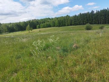 Mazury działka 3004 m2, 12 km od Giżycka przy Lesie