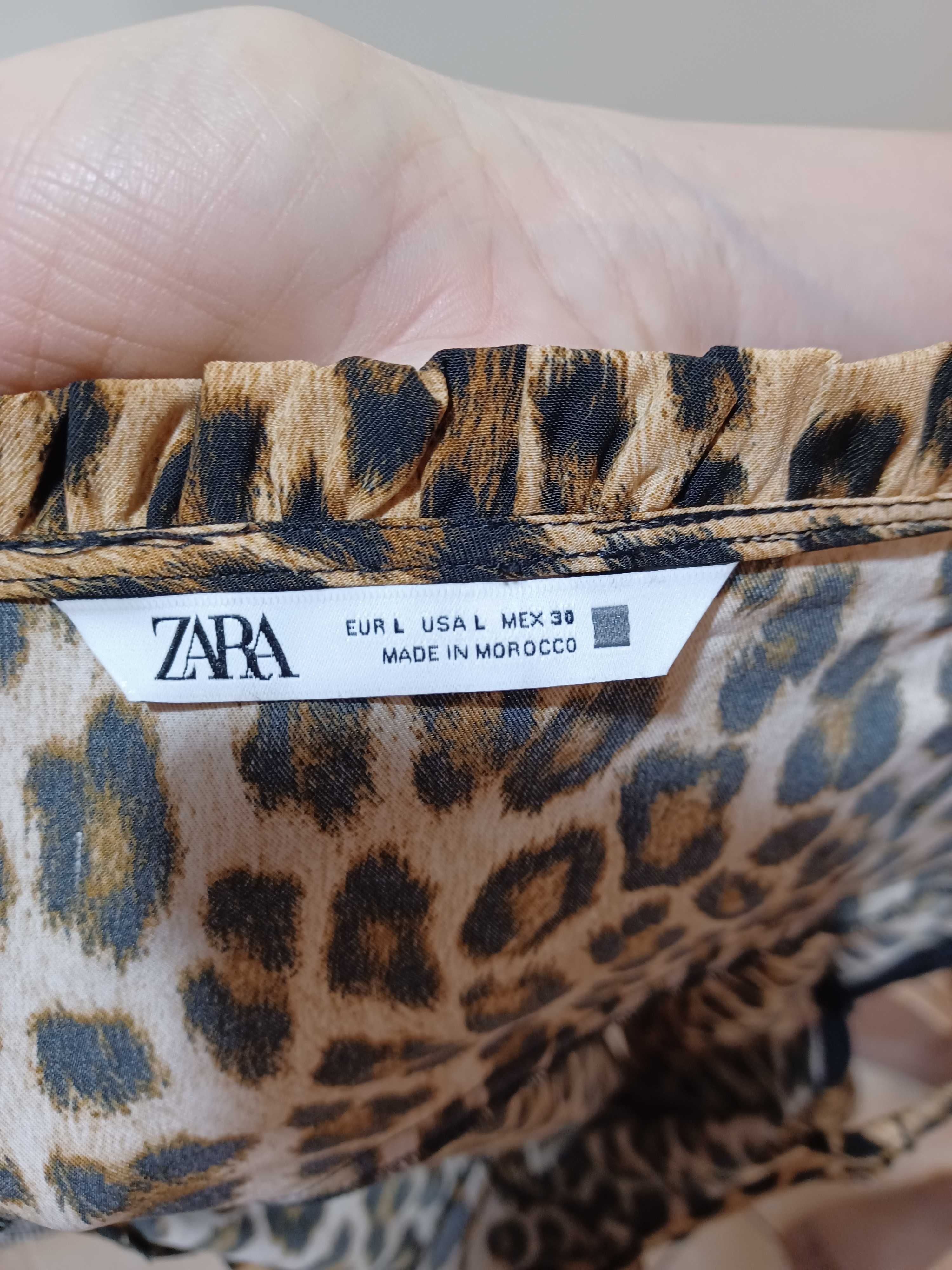 sukienka w panterkę firmy ZARA, rozmiar L