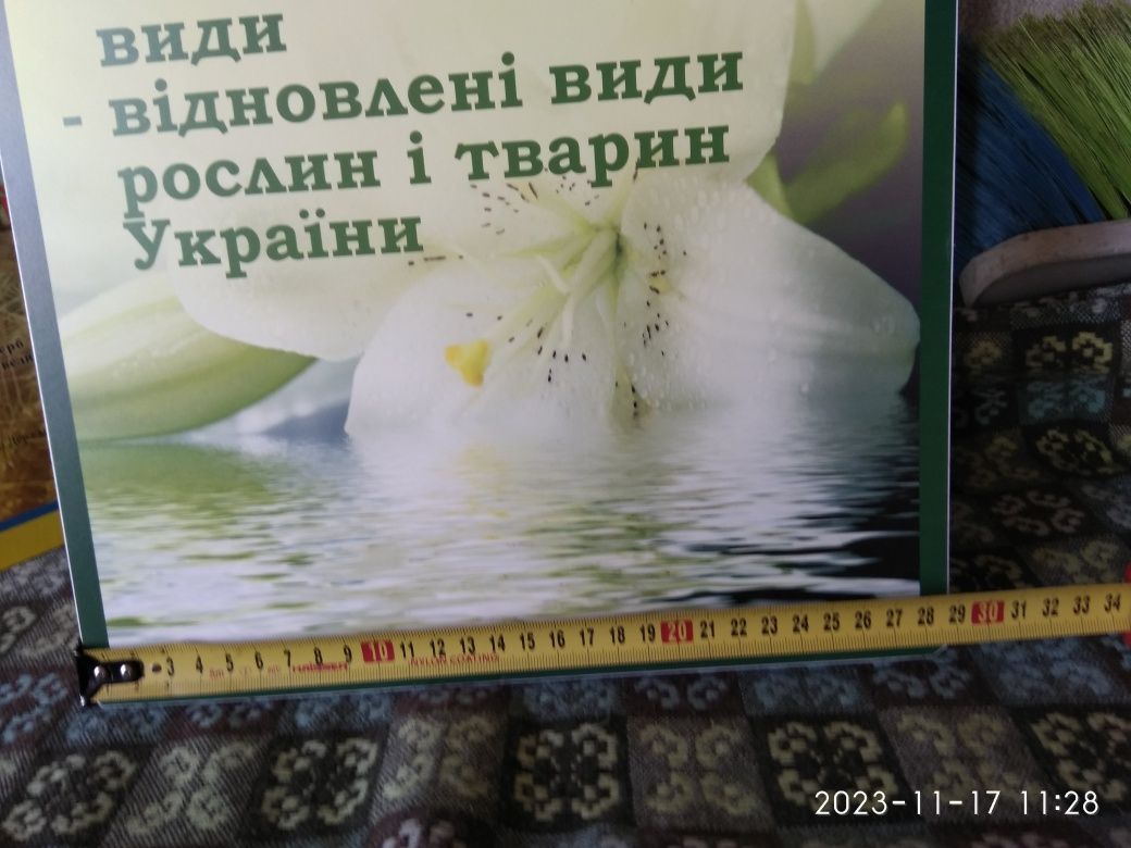 Рослини і тварини Червоної книги України набір стендів