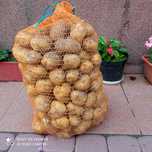 Ziemniaki jadalne. Odmiana GALA 2zl/kg.
