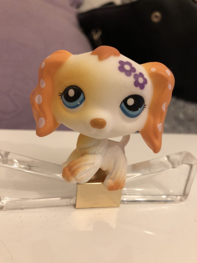 Littlest Pet Shop Figurka Pies Cocker Spaniel #1615 LPS POP Collie Dog