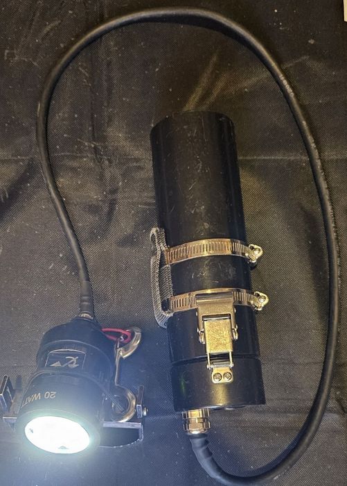 Latarka Yellow Diving Perch