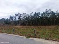 Terreno com uma área total de 10.796 m2