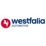 Montaż haków Westfalia Stainhof Beink