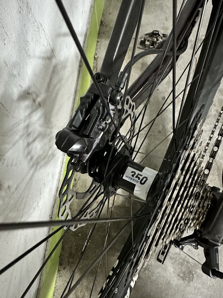 Orbea Wild FS 2022