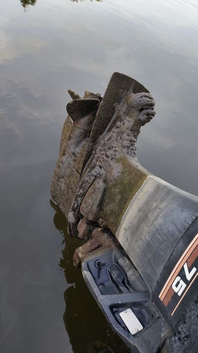 Serwis Motorowodny Przygotowanie sprzetu do sezonu