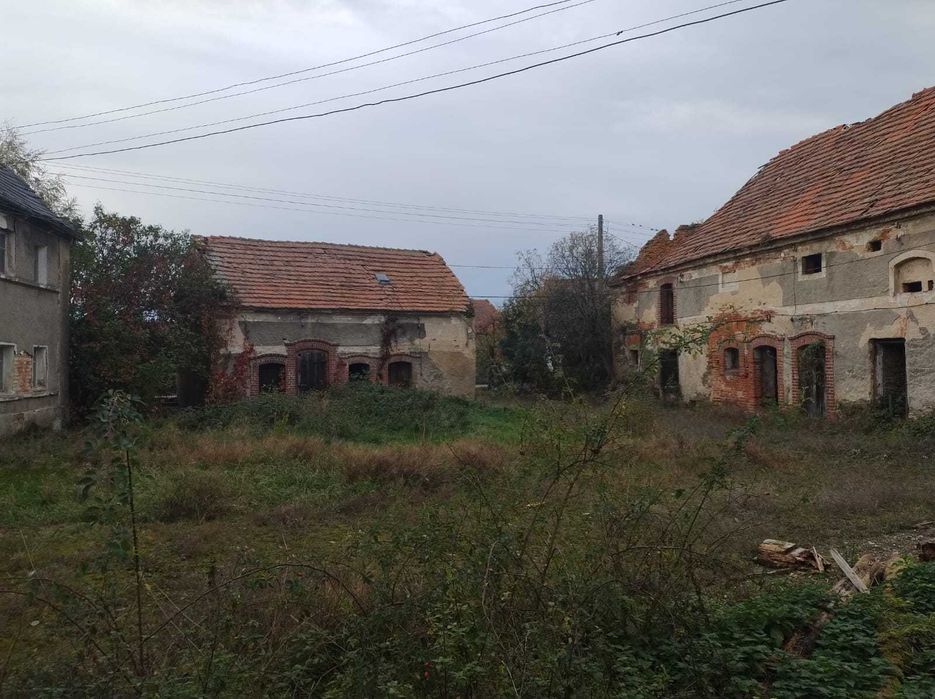 sprzedam działkę budowlaną z zabudowaniami w miescowości Jenków 5