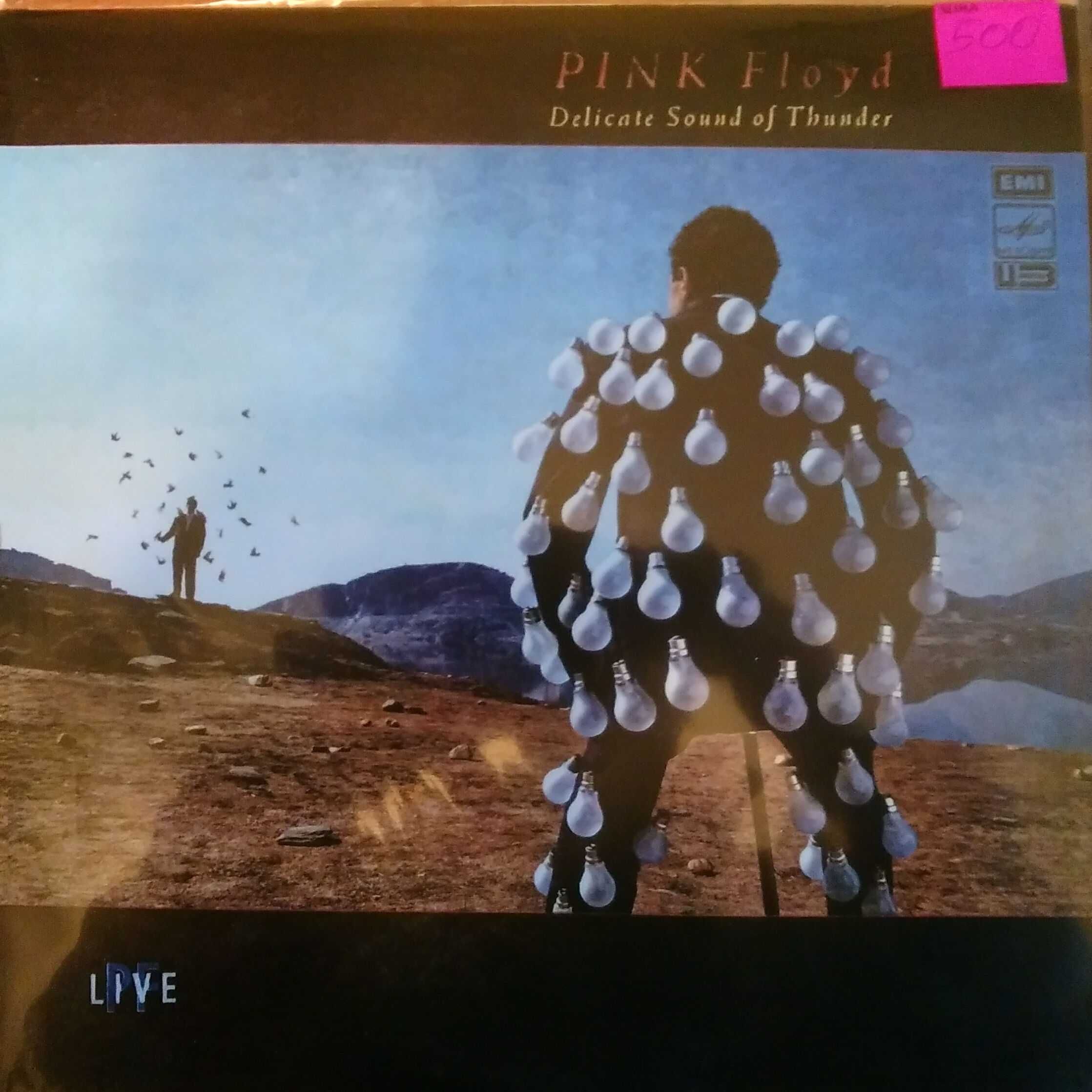 Pink Floyd  виниловые пластинки