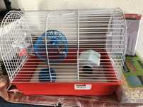 Gaiola hamster com acessorios