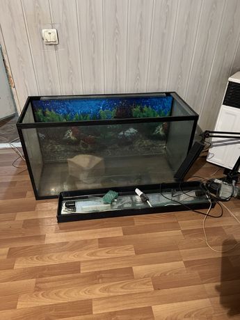 акваріум для черепахи