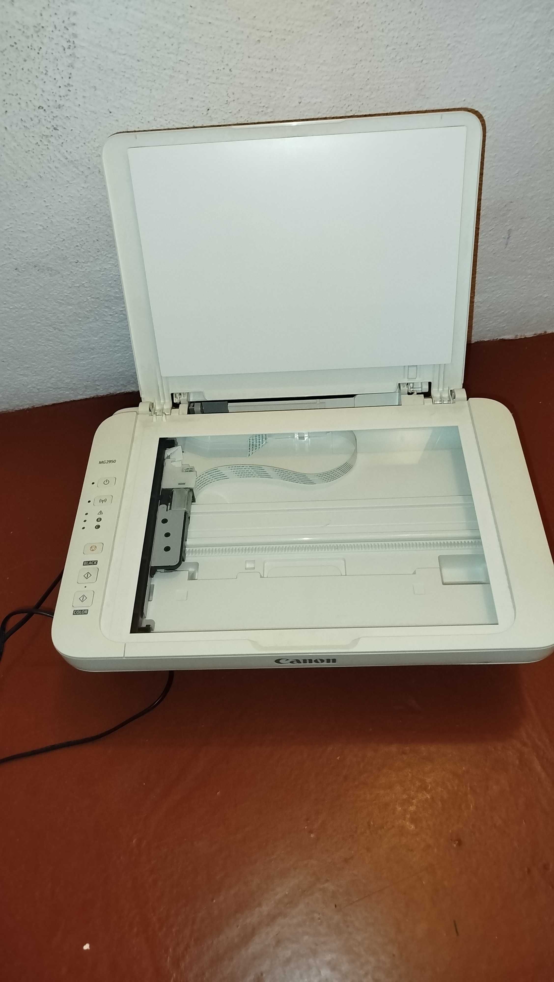 Impressora multifunções Canon MG2950