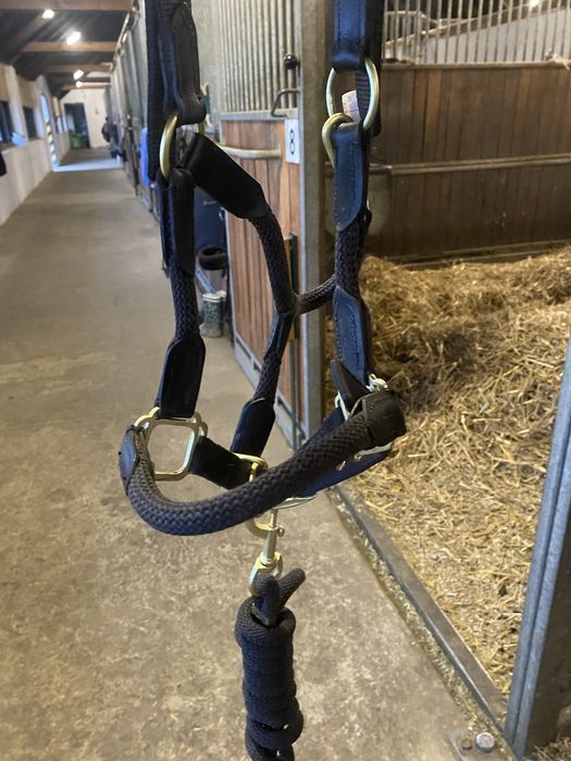 Kantar cavallo z uwiązem cob